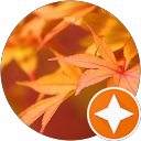 Google Account User profile picture